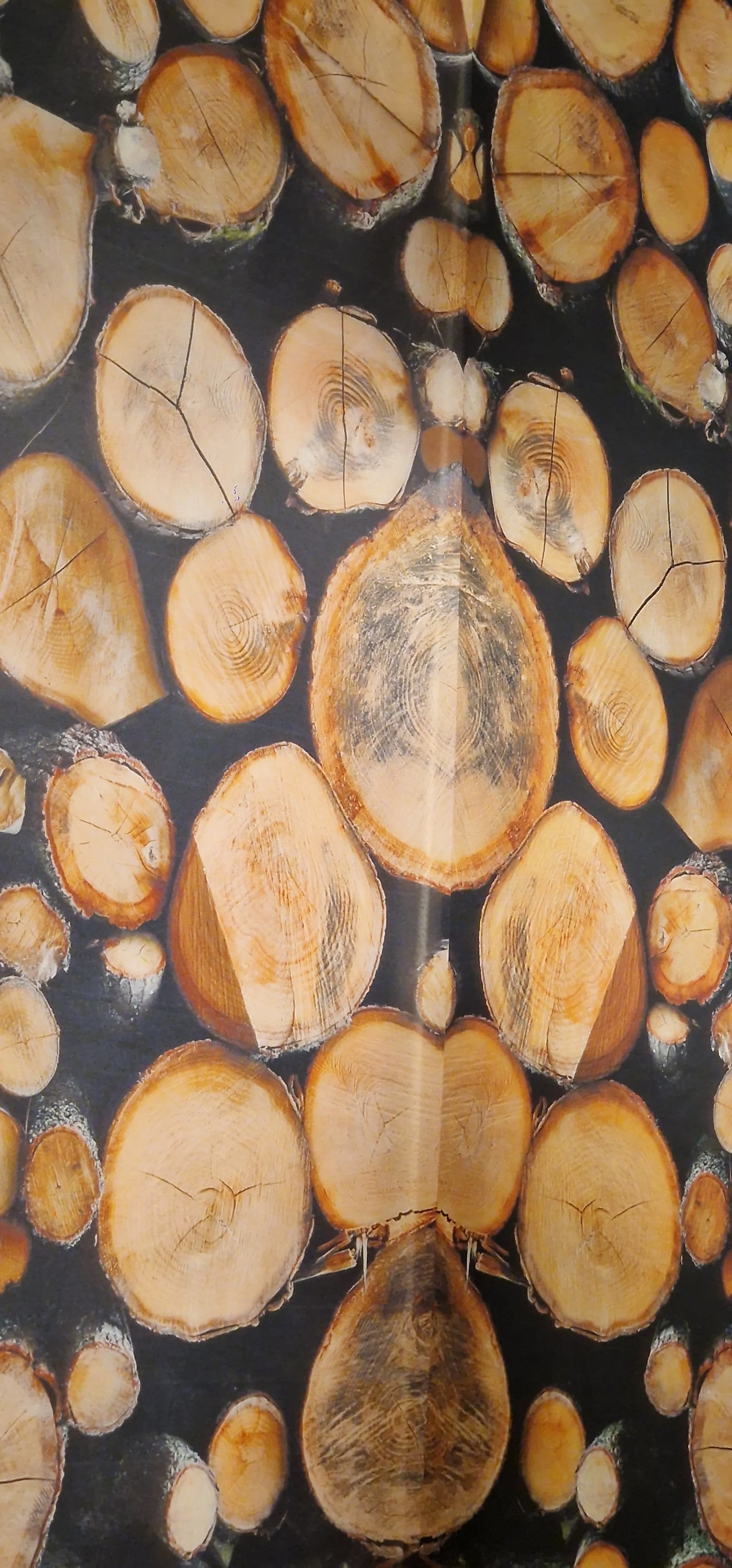 Wandläufer / Vorhang in Holzoptik 6-teilig (siehe unten)